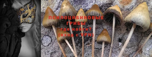 твердый Верея