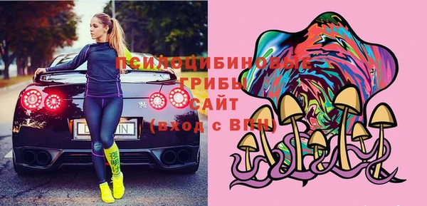 гашик Волосово