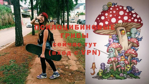 гашик Волосово
