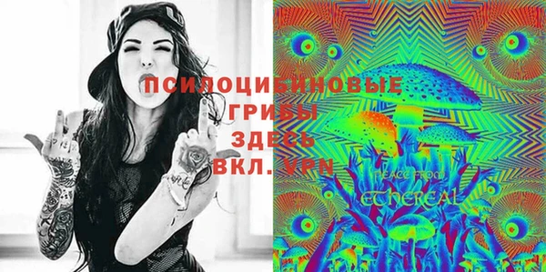 бошки Вяземский