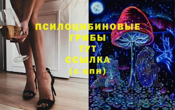 герыч Верхний Тагил