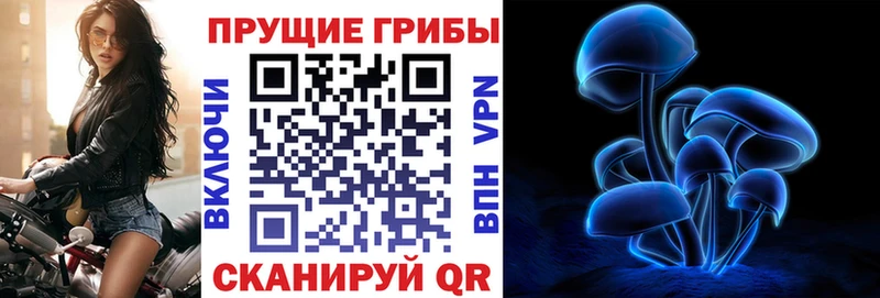 Псилоцибиновые грибы Psilocybine cubensis  Гусев 